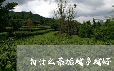 为什么茶垢越多越好/2023041503947