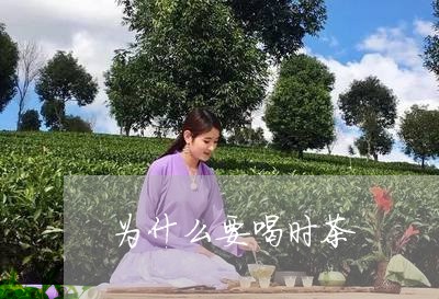 为什么要喝时茶/2023032243826