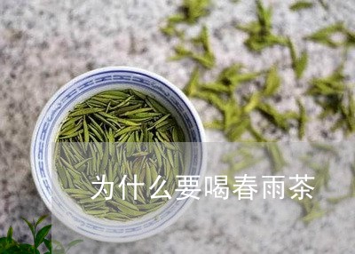 为什么要喝春雨茶/2023032254736