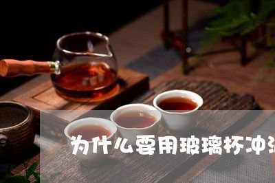 为什么要用玻璃杯冲泡白茶/2023033196048