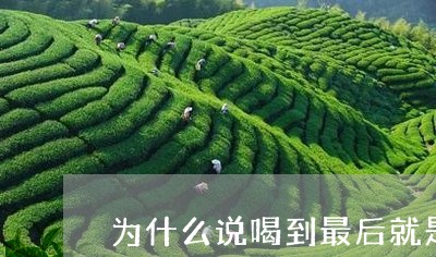 为什么说喝到最后就是白茶/2023033164039