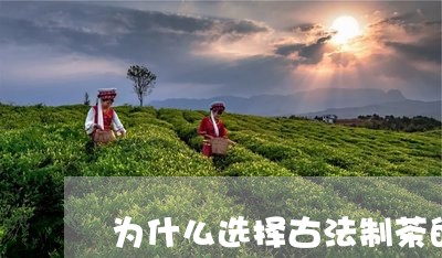 为什么选择古法制茶的白茶/2023040154149