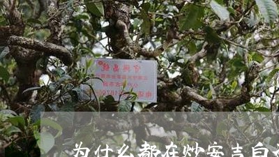 为什么都在炒安吉白茶价格/2023040193069