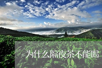 为什么隔夜茶不能喝/2023031932919