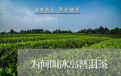 为何叫冰岛普洱茶/2023031749404