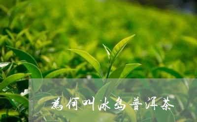 为何叫冰岛普洱茶/2023041337179