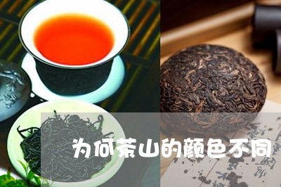 为何茶山的颜色不同/2023032092715