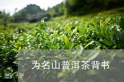 为名山普洱茶背书/2023040923136