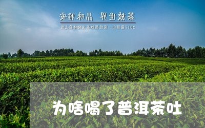 为啥喝了普洱茶吐/2023040996048