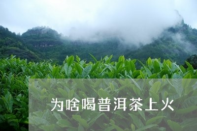 为啥喝普洱茶上火/2023041004936