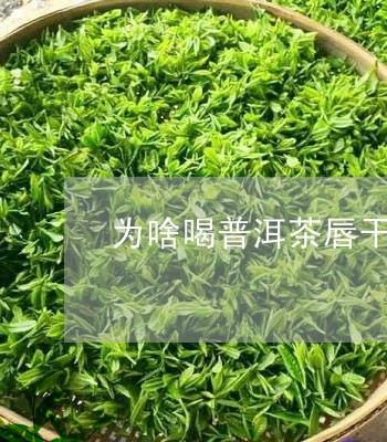 为啥喝普洱茶唇干/2023041373148