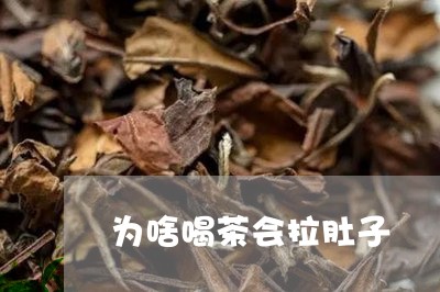 为啥喝茶会拉肚子/2023032516279