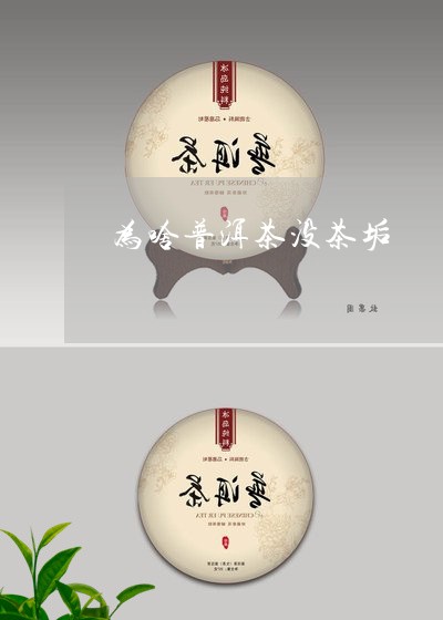 为啥普洱茶没茶垢/2023041055958