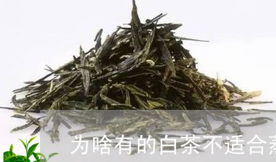 为啥有的白茶不适合蒸着喝/2023040194826