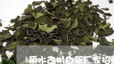 丽水古树白茶厂家招商电话/2023040182615