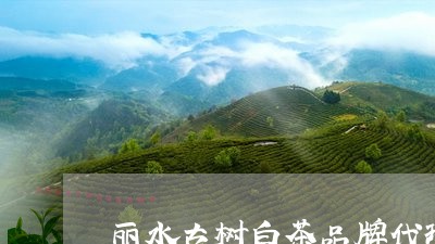 丽水古树白茶品牌代理加盟/2023040110572