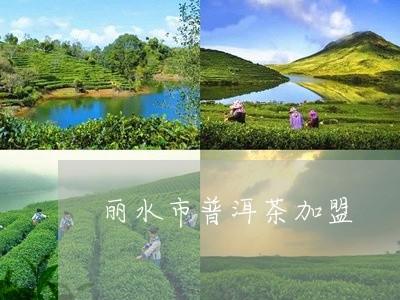 丽水市普洱茶加盟/2023033082814