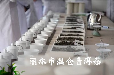 丽水市湿仓普洱茶/2023040160805