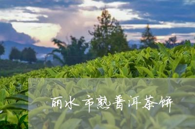 丽水市熟普洱茶饼/2023033196151