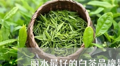 丽水最好的白茶品牌是哪家/2023040161158