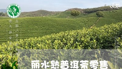 丽水熟普洱茶零售/2023033108372