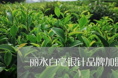 丽水白毫银针品牌加盟代理/2023040175928