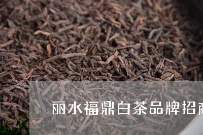 丽水福鼎白茶品牌招商电话/2023040150581