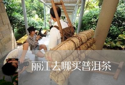 丽江去哪买普洱茶/2023041312724