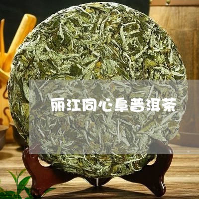 丽江同心阜普洱茶/2023041169374