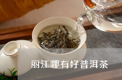 丽江哪有好普洱茶/2023031786148