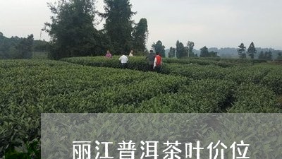 丽江普洱茶叶价位/2023033017948