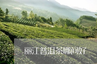 丽江普洱茶哪间好/2023040158962