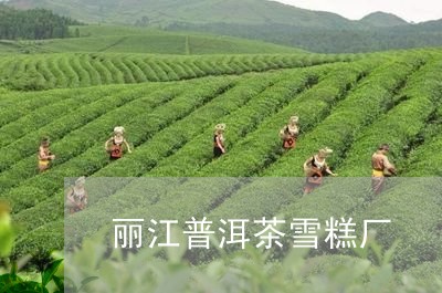 丽江普洱茶雪糕厂/2023041462794