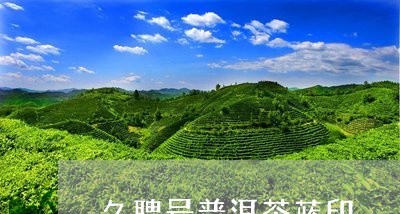 久聘号普洱茶蓝印/2023031685946