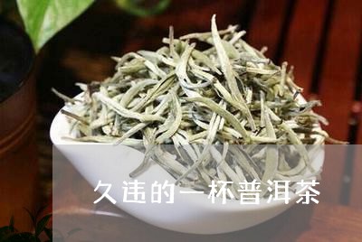 久违的一杯普洱茶/2023033007372