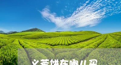 义茶饼在哪儿买/2023041683748