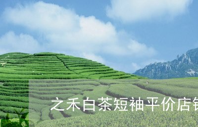 之禾白茶短袖平价店铺在哪/2023040183867