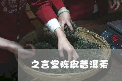 之言堂陈皮普洱茶/2023041059517