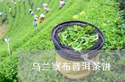 乌兰察布普洱茶饼/2023033078494