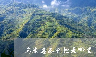 乌岽名茶产地是哪里/2023041619725