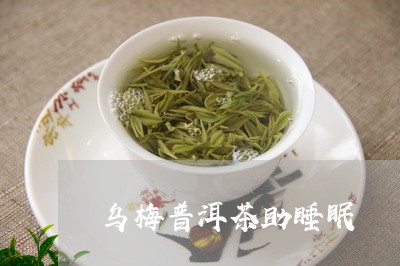 乌梅普洱茶助睡眠/2023041107258