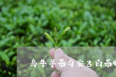 乌牛早茶与安吉白茶哪个好/2023033152817