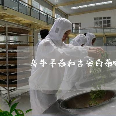 乌牛早茶和吉安白茶哪个好/2023033198360