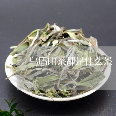 乌盾山茶都是什么茶/2023041572605