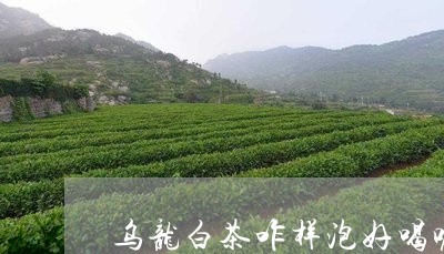 乌龙白茶咋样泡好喝呢视频/2023033162915