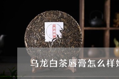 乌龙白茶唇膏怎么样好用吗/2023033127258