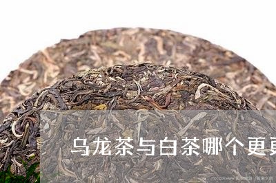 乌龙茶与白茶哪个更更减肥/2023033152834