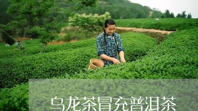 乌龙茶冒充普洱茶/2023041134047