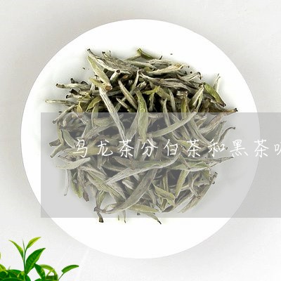 乌龙茶分白茶和黑茶嘛区别/2023033152938