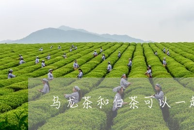 乌龙茶和白茶可以一起喝吗/2023033132504